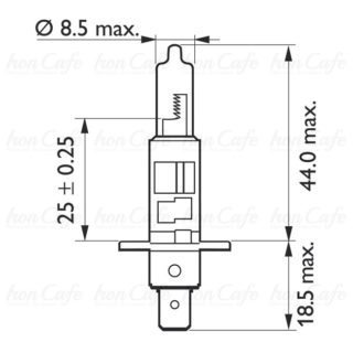 Lampadina H1 Visionplus - immagine 2