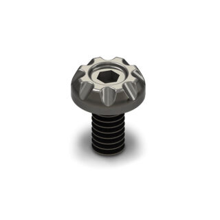 Vite fissaggio sella 1/4-20 Pinion