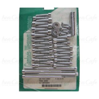 Set viti coperchi laterali Big Twin