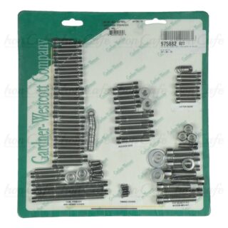 Set completo viti motore