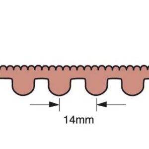 133 Denti